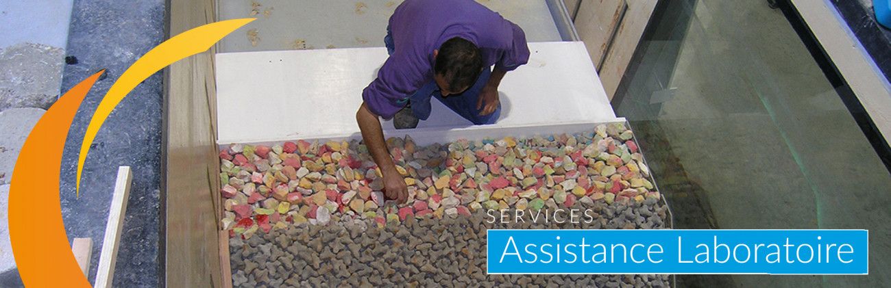 Assistance Laboratoire