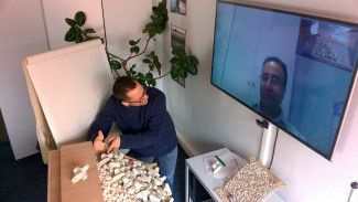 Assistance via video conference