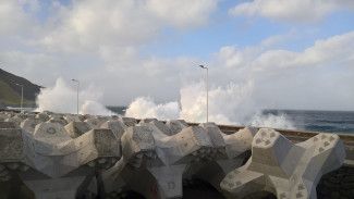 CLI design assistance