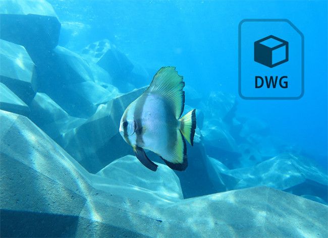 ACCROPODE™ Hachurages